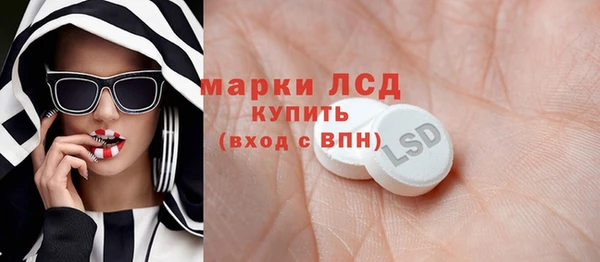 индика Инта