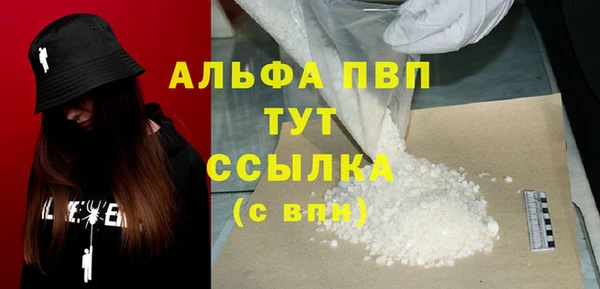индика Инта