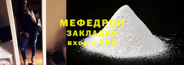 индика Инта