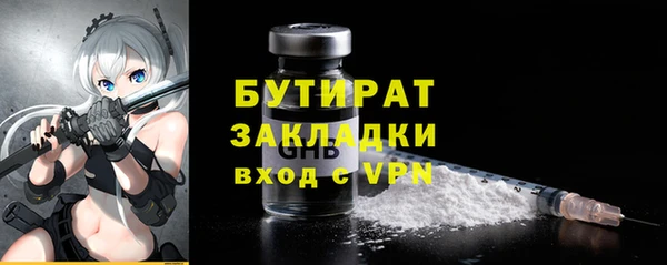 индика Инта