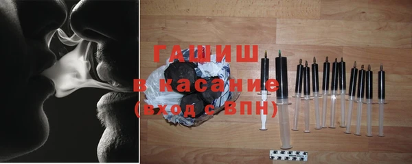 индика Инта