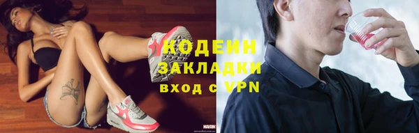 индика Инта