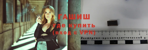 индика Инта