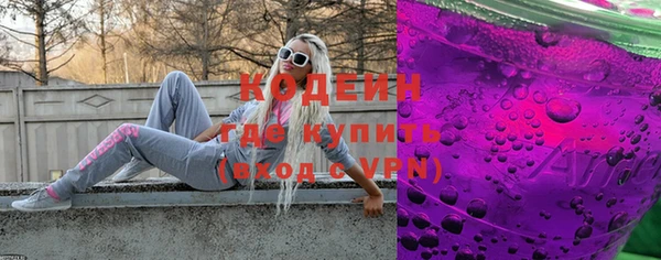 индика Инта