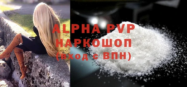 индика Инта