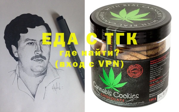 индика Инта