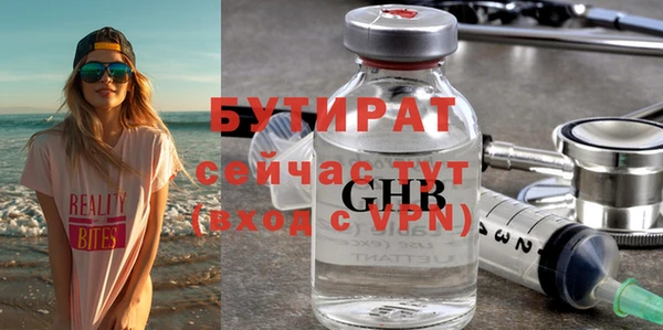индика Инта