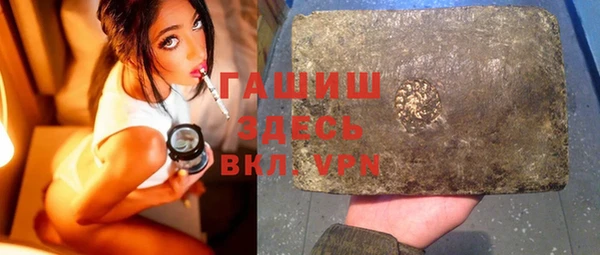 индика Инта