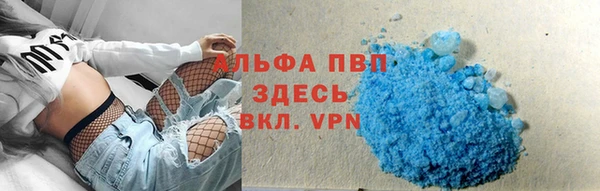индика Инта